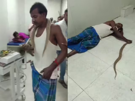 Snake bite - bihar